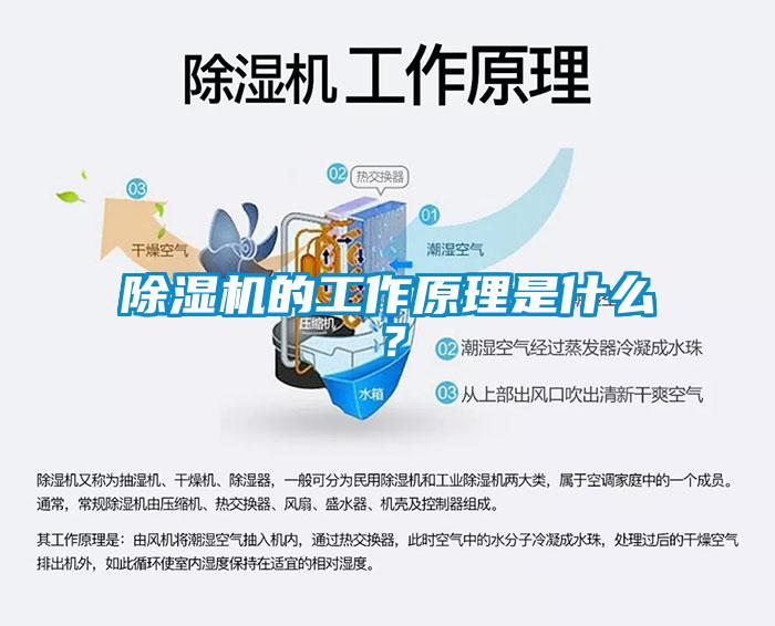 除湿机的工作原理是什么？