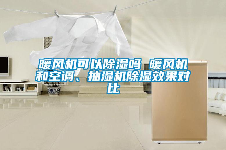 暖风机可以除湿吗 暖风机和空调、抽湿机除湿效果对比