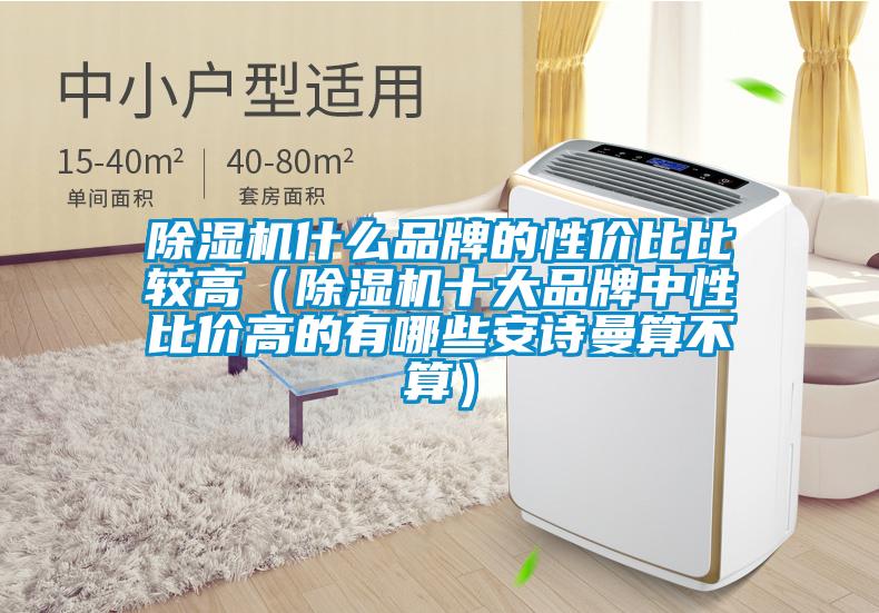 除湿机什么品牌的性价比比较高（除湿机十大品牌中性比价高的有哪些安诗曼算不算）