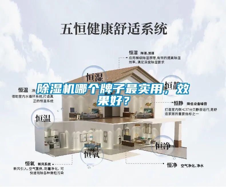 除湿机哪个牌子最实用，效果好？
