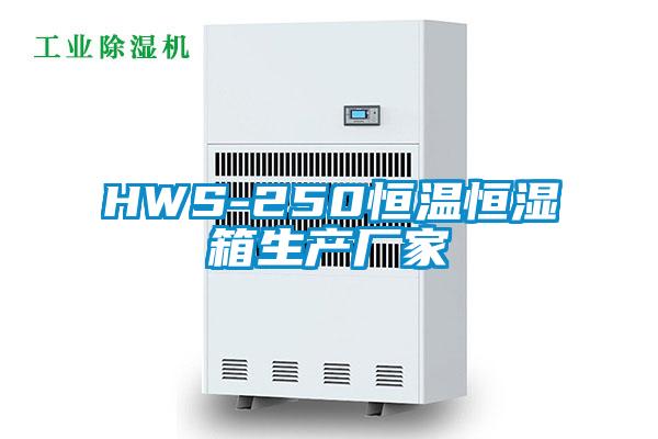 HWS-250恒温恒湿箱生产厂家