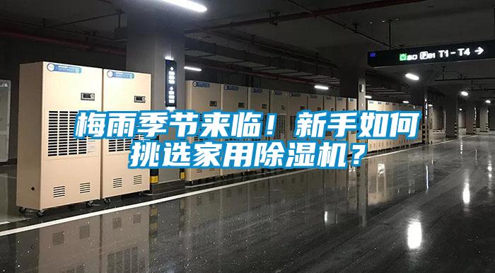 梅雨季节来临！新手如何挑选家用除湿机？