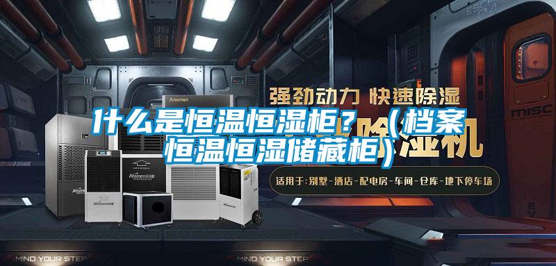 什么是恒温恒湿柜？（档案恒温恒湿储藏柜）