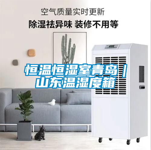 恒温恒湿室青岛｜山东温湿度箱