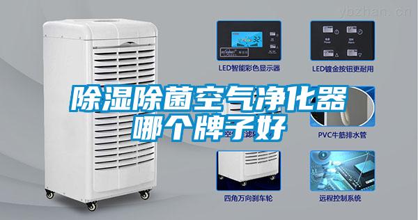 除湿除菌空气净化器哪个牌子好