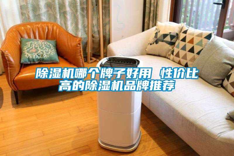 除湿机哪个牌子好用 性价比高的除湿机品牌推荐