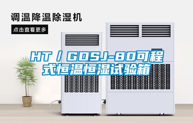 HT／GDSJ-80可程式恒温恒湿试验箱