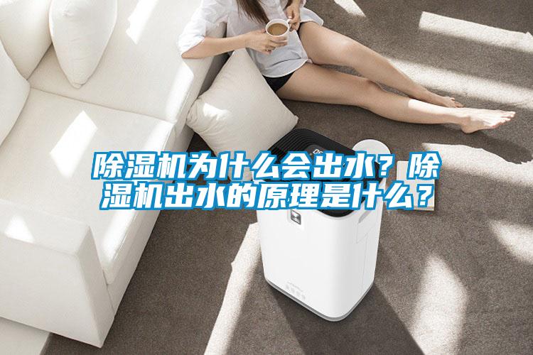 除湿机为什么会出水？除湿机出水的原理是什么？