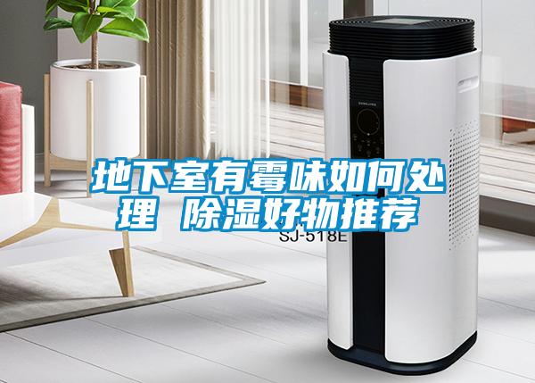 地下室有霉味如何处理 除湿好物推荐