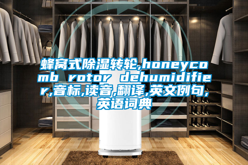 蜂窝式除湿转轮,honeycomb rotor dehumidifier,音标,读音,翻译,英文例句,英语词典