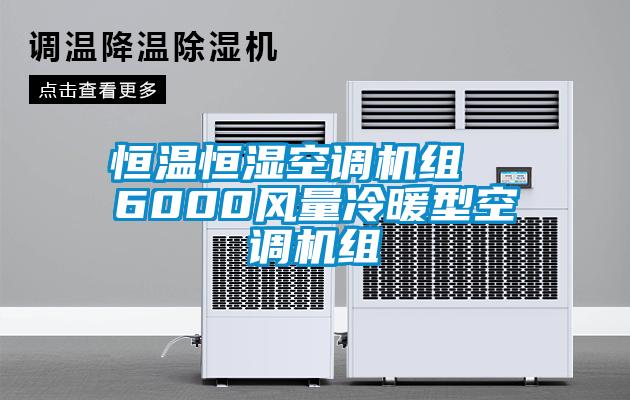 恒温恒湿空调机组  6000风量冷暖型空调机组