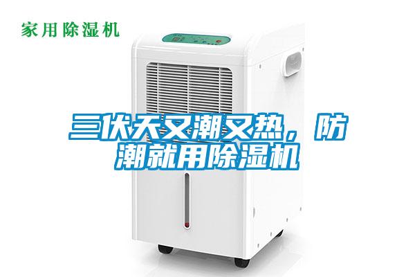 三伏天又潮又热，防潮就用除湿机