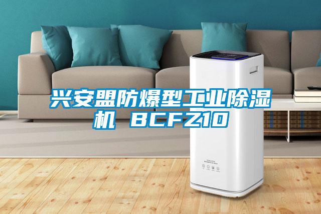 兴安盟防爆型工业除湿机 BCFZ10