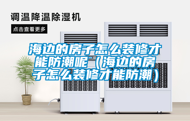 海边的房子怎么装修才能防潮呢（海边的房子怎么装修才能防潮）