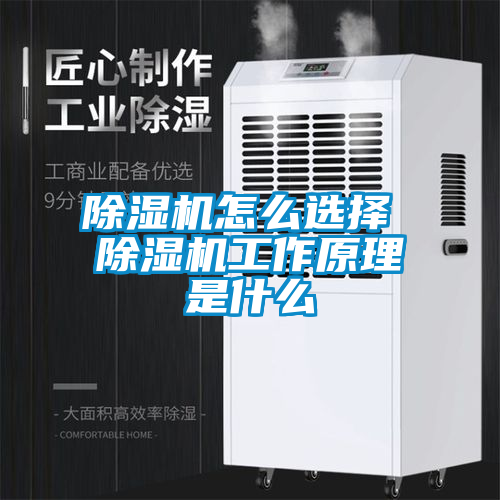 除湿机怎么选择 除湿机工作原理是什么