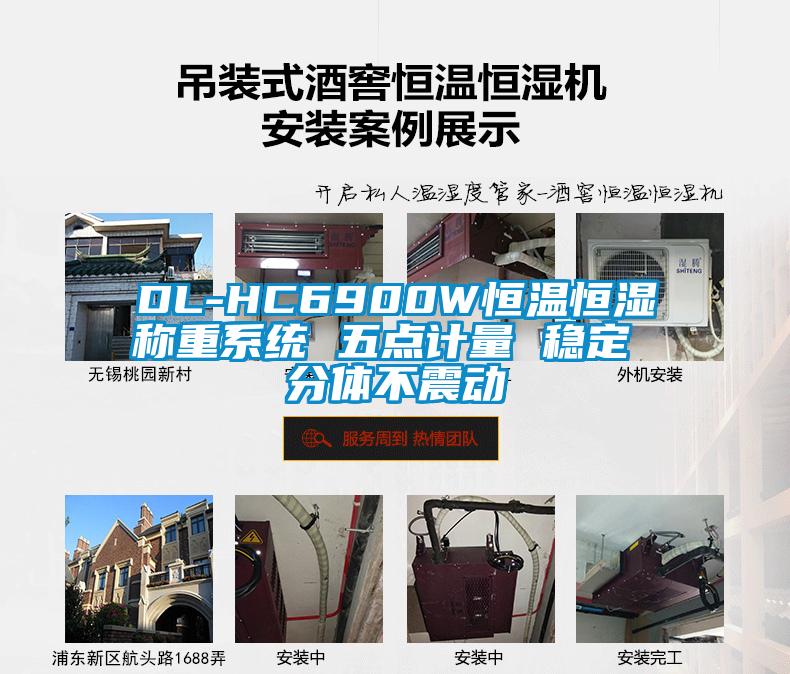 DL-HC6900W恒温恒湿称重系统 五点计量 稳定 分体不震动