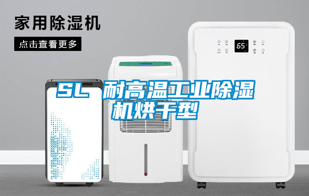 SL 耐高温工业除湿机烘干型
