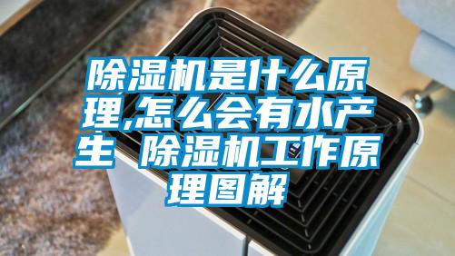 除湿机是什么原理,怎么会有水产生 除湿机工作原理图解