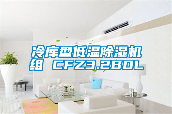 冷库型低温除湿机组 CFZ3.2BDL