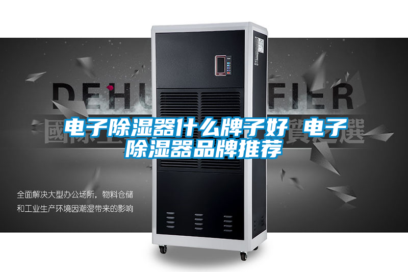 电子除湿器什么牌子好 电子除湿器品牌推荐