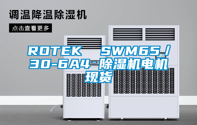 ROTEK  SWM65／30-6A4 除湿机电机现货