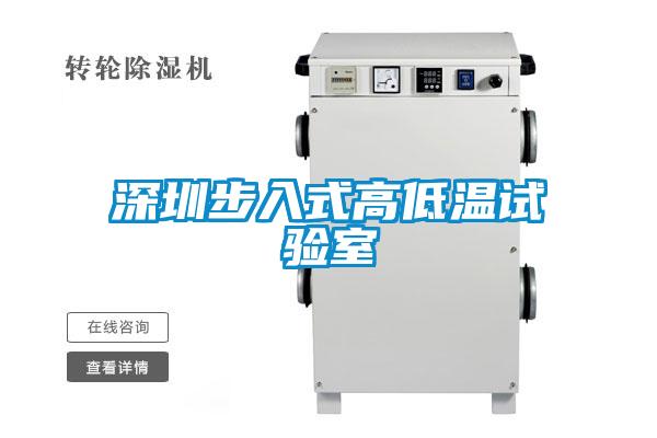 深圳步入式高低温试验室