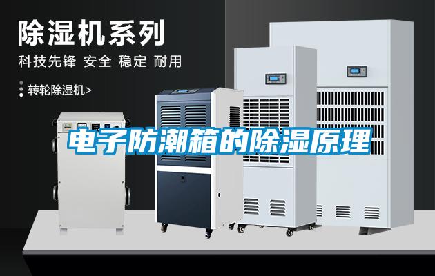电子防潮箱的除湿原理