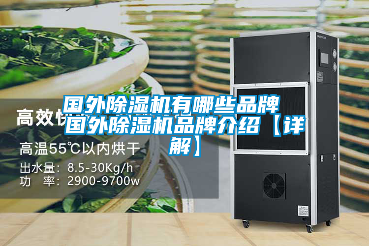 国外除湿机有哪些品牌  国外除湿机品牌介绍【详解】