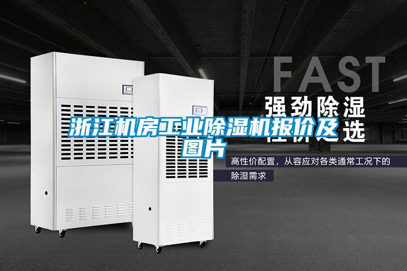 浙江机房工业除湿机报价及图片