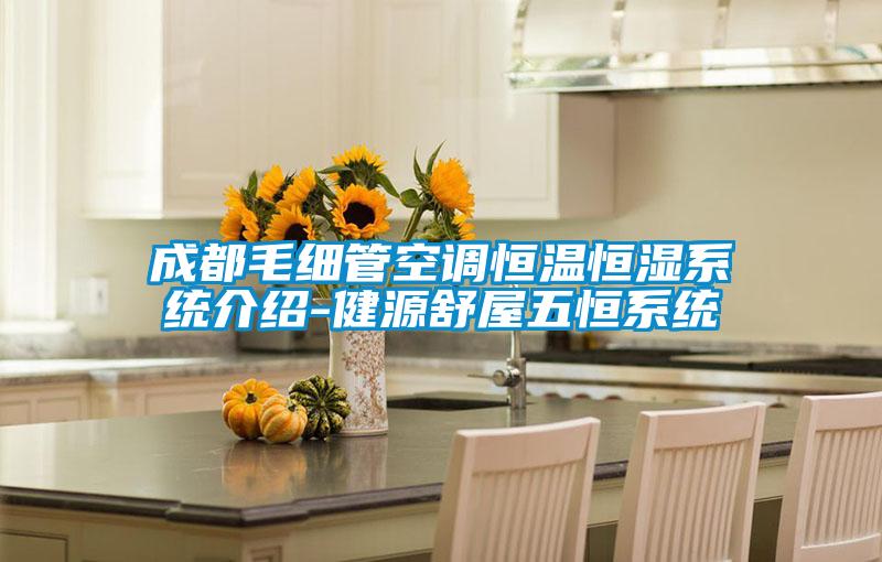 成都毛细管空调恒温恒湿系统介绍-健源舒屋五恒系统