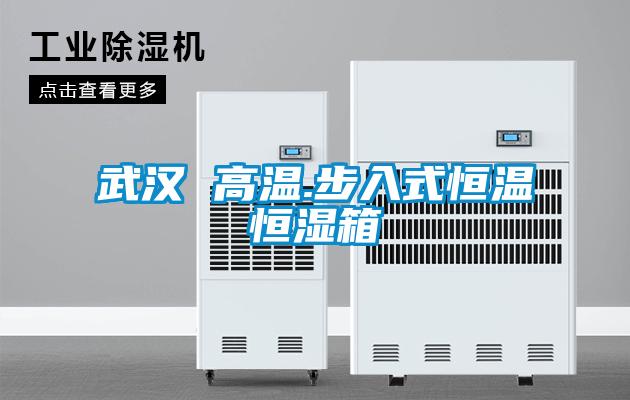 武汉 高温.步入式恒温恒湿箱