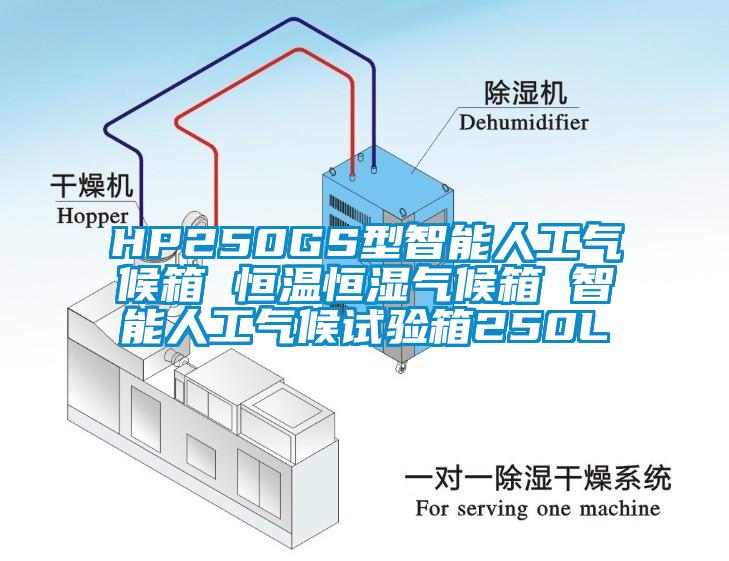 HP250GS型智能人工气候箱 恒温恒湿气候箱 智能人工气候试验箱250L