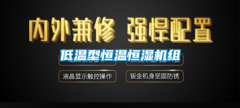 低温型恒温恒湿机组