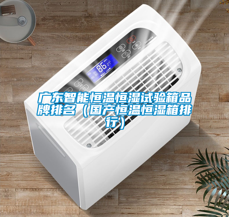 广东智能恒温恒湿试验箱品牌排名（国产恒温恒湿箱排行）