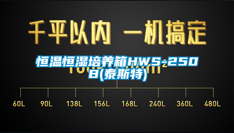 恒温恒湿培养箱HWS-250B(泰斯特)