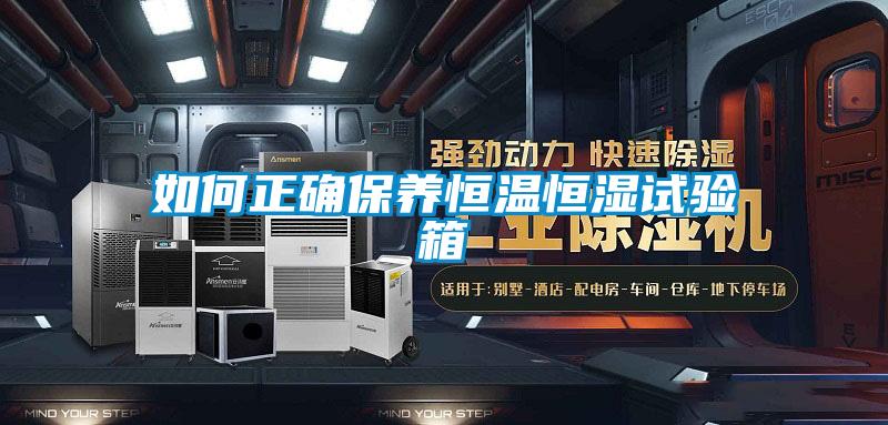 如何正确保养恒温恒湿试验箱