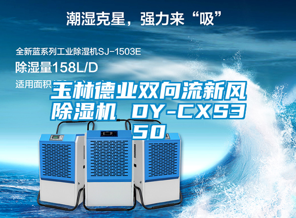 玉林德业双向流新风除湿机 DY-CXS350