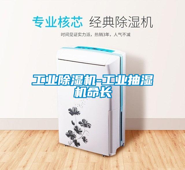 工业除湿机-工业抽湿机命长