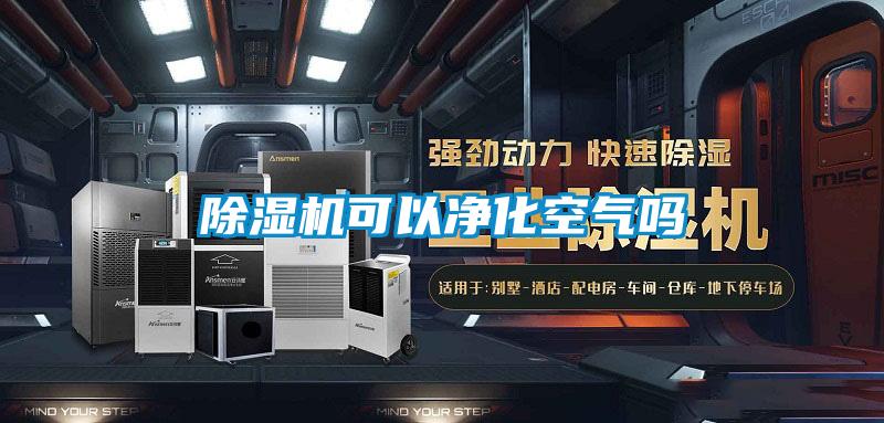 除湿机可以净化空气吗
