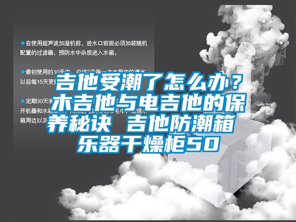 吉他受潮了怎么办？木吉他与电吉他的保养秘诀 吉他防潮箱 乐器干燥柜50