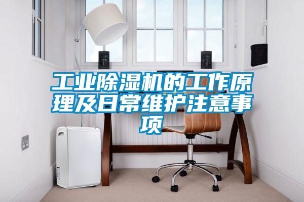 工业除湿机的工作原理及日常维护注意事项