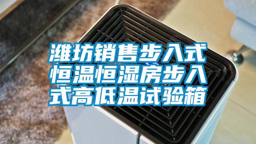 潍坊销售步入式恒温恒湿房步入式高低温试验箱