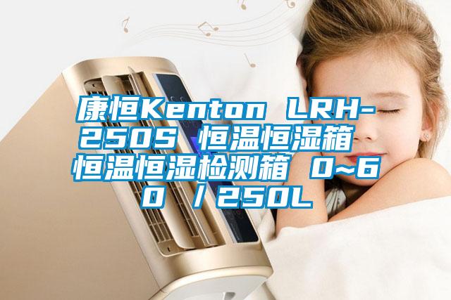 康恒Kenton LRH-250S 恒温恒湿箱 恒温恒湿检测箱 0~60℃／250L