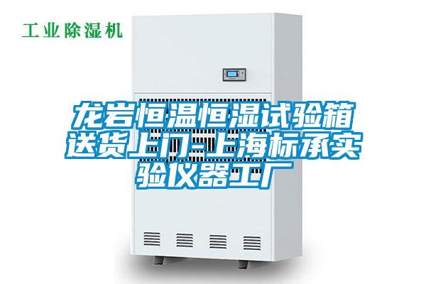 龙岩恒温恒湿试验箱送货上门-上海标承实验仪器工厂