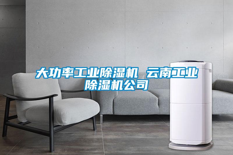 大功率工业除湿机 云南工业除湿机公司