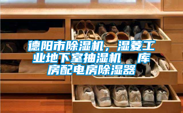 德阳市除湿机，湿菱工业地下室抽湿机  库房配电房除湿器