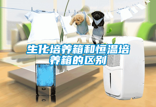 生化培养箱和恒温培养箱的区别