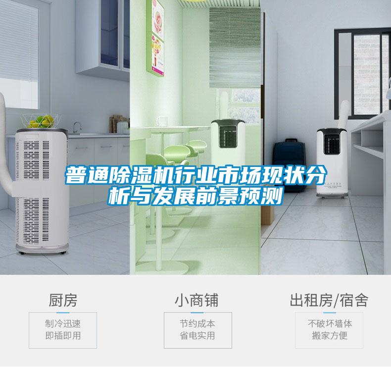 普通除湿机行业市场现状分析与发展前景预测