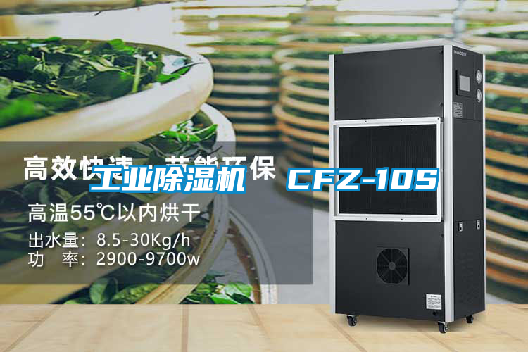 工业除湿机  CFZ-10S
