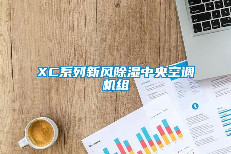 XC系列新风除湿中央空调机组